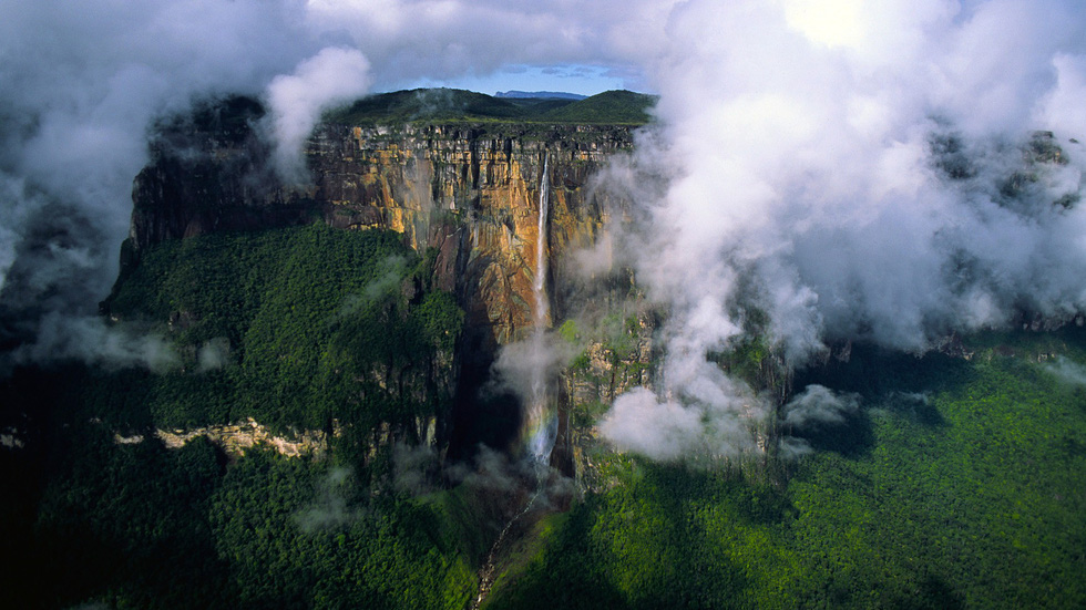 Khu vườn trên mây – Thế giới huyền bí ở Venezuela 3