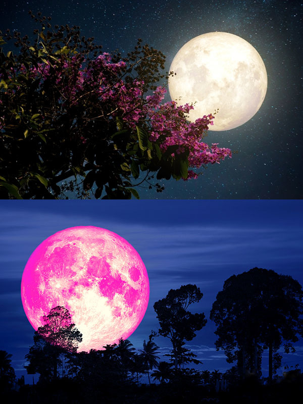 Trăng Dâu Tây được xem là mặt trăng của tình yêu và hạnh phúc đôi lứa