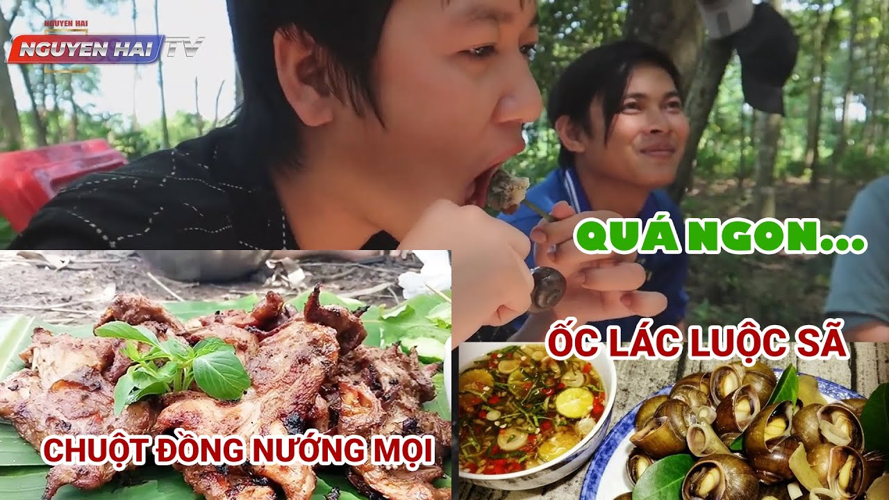 Chuột đồng nướng mọi - Ốc lác luộc sã, đặc sản miền tây | Miền tây quê tôi | Nguyễn Hải TV